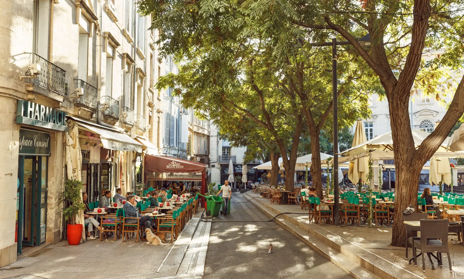 terrasse-montpellier