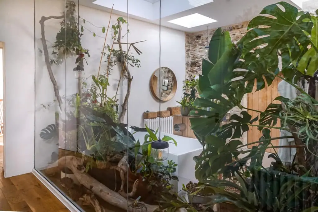 Maison avec un grand jardin à Aubais - Occitanie